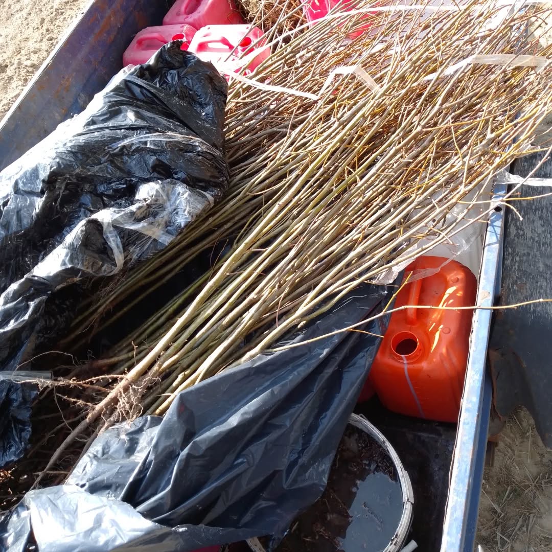 Екологічна акція